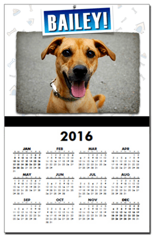 personalized pet calendar holiday gift