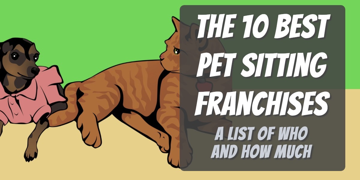 The 10 Best Pet Sitting Franchises - Pet Business Masters!