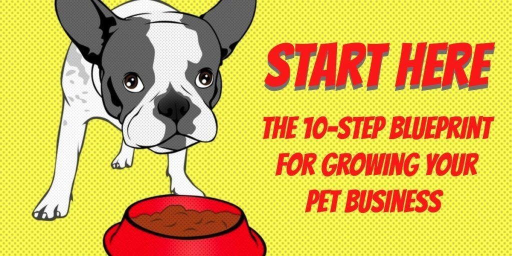 blueprint to start a dog walking pet sitting business