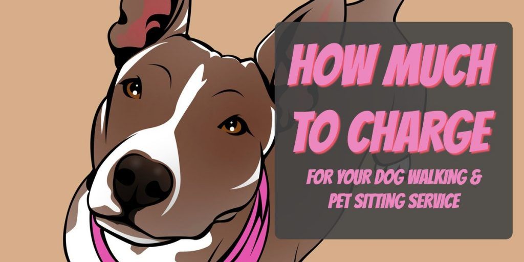 how much to charge for dog walking and pet sitting