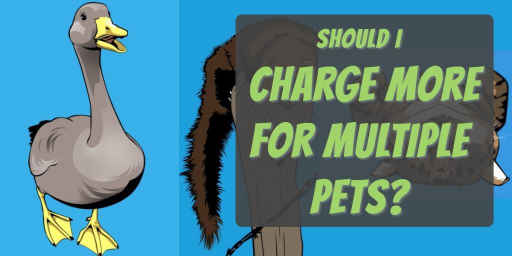 should you charge more for multiple pets