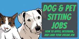 dog sitting jobs, pet sitting jobs