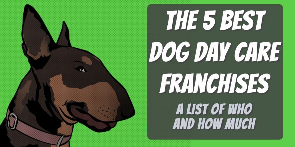 5 best dog day care franchises