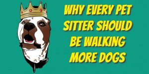 dog walking pet sitting business model