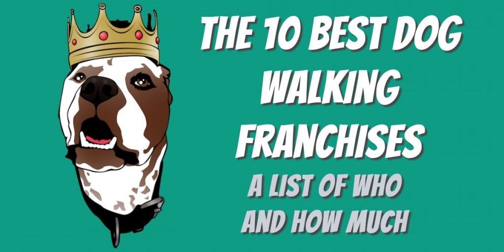 list of top 10 dog walking franchises