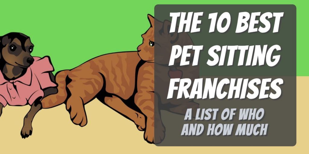 10 best pet sitting franchises