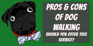 pros and cons of a dog walking business