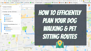 map route tools for dog walking and pet sitting